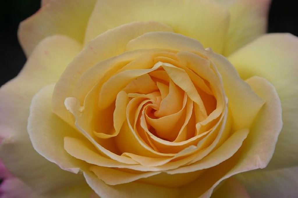 Image 211_1137.jpg