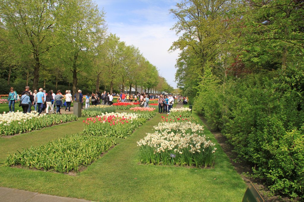 Image 100-7567.jpg