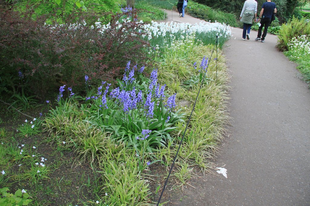 Image 100-7666.jpg