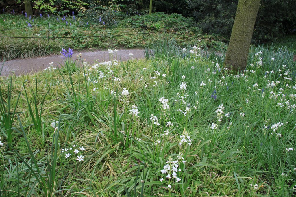 Image 100-7667.jpg