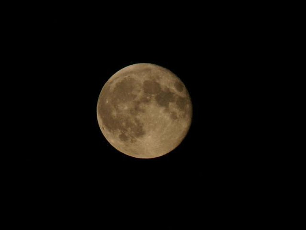 Image 208_0838_jfra.jpg